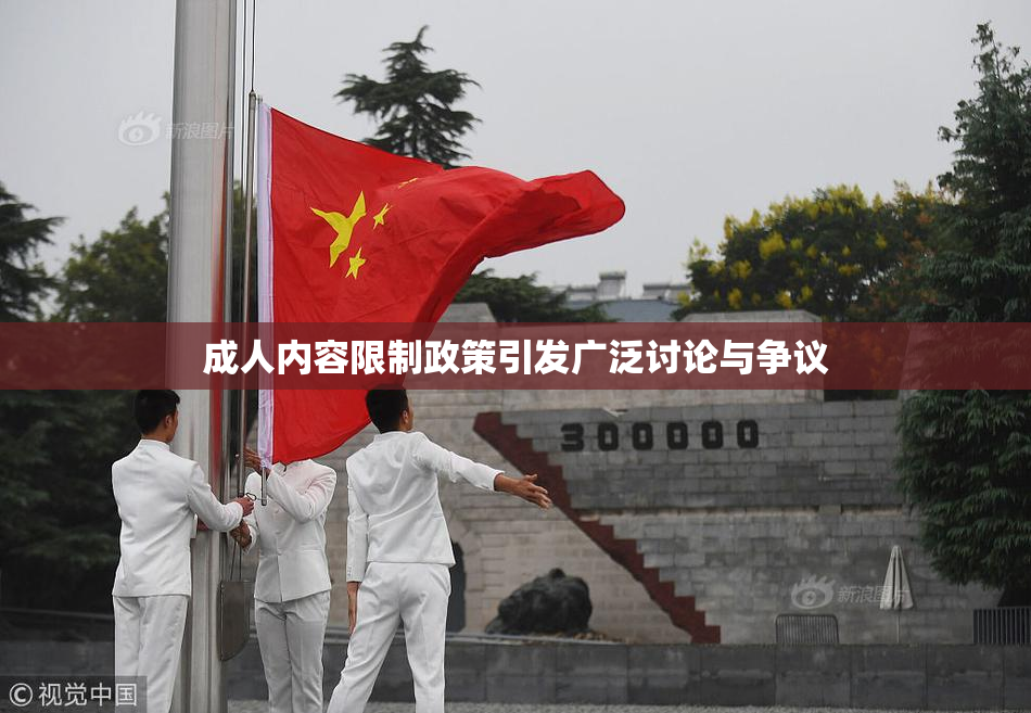 成人内容限制政策引发广泛讨论与争议
