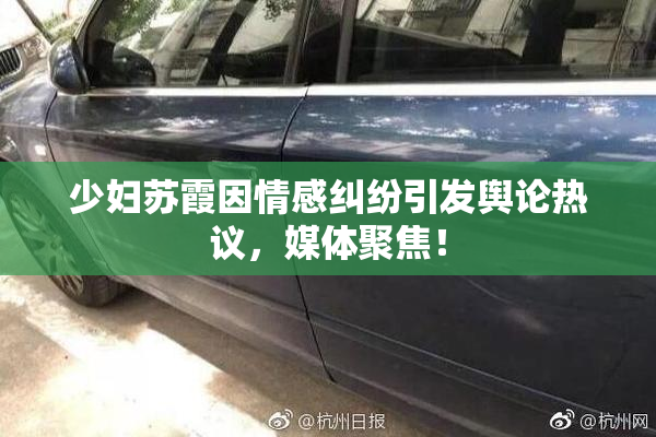 少妇苏霞因情感纠纷引发舆论热议，媒体聚焦！
