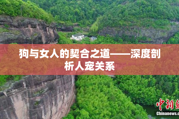 狗与女人的契合之道——深度剖析人宠关系