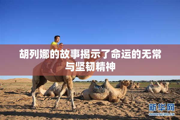 胡列娜的故事揭示了命运的无常与坚韧精神