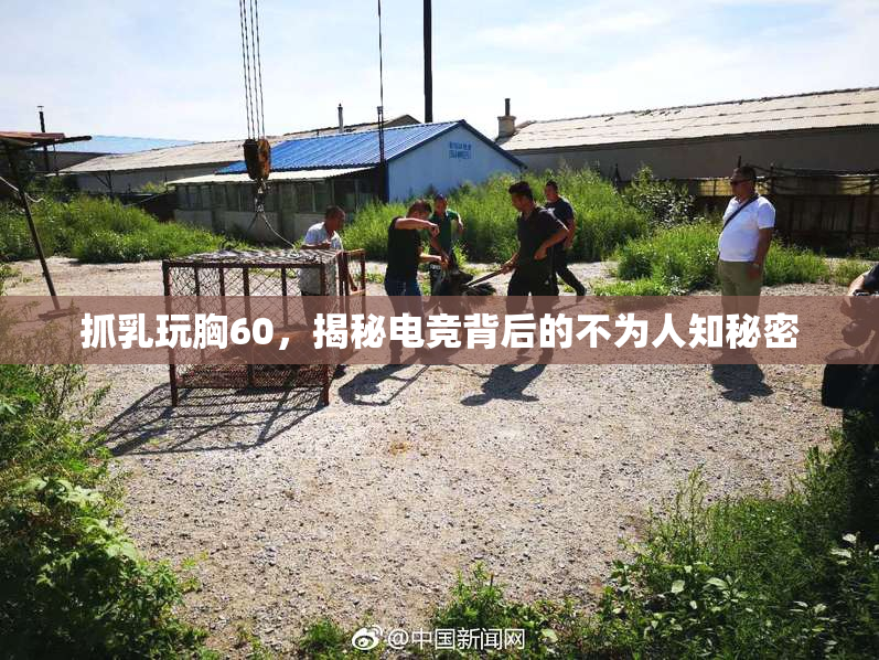 抓乳玩胸60，揭秘电竞背后的不为人知秘密