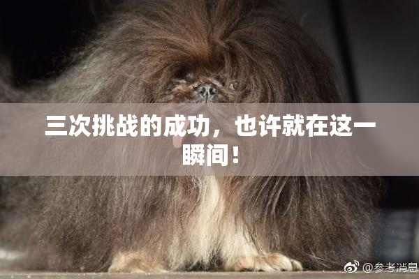 三次挑战的成功，也许就在这一瞬间！