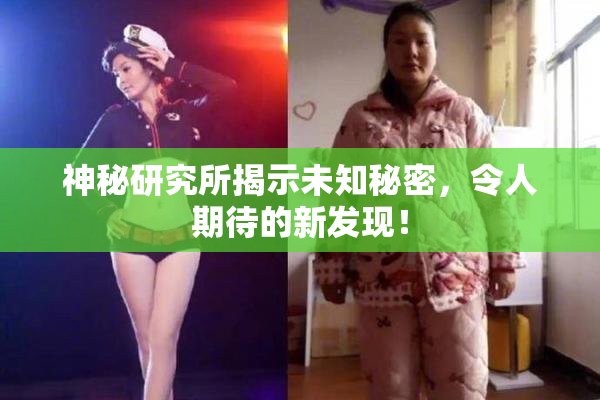 神秘研究所揭示未知秘密，令人期待的新发现！