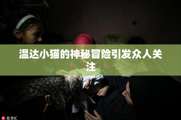 温达小猫的神秘冒险引发众人关注