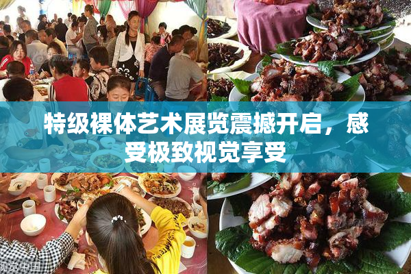 特级裸体艺术展览震撼开启，感受极致视觉享受