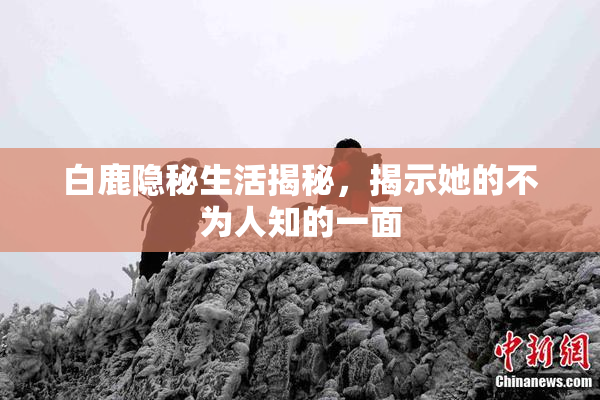 白鹿隐秘生活揭秘，揭示她的不为人知的一面
