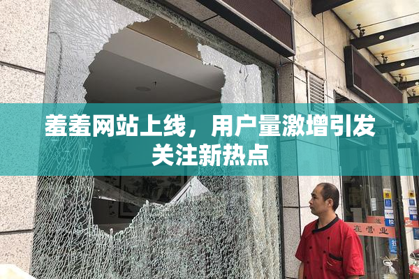 羞羞网站上线，用户量激增引发关注新热点