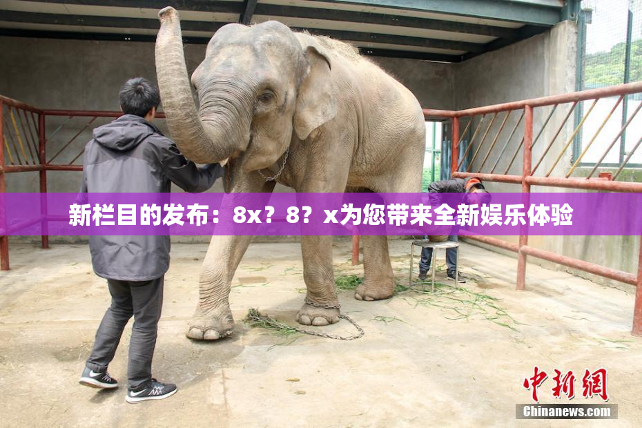 新栏目的发布：8x？8？x为您带来全新娱乐体验