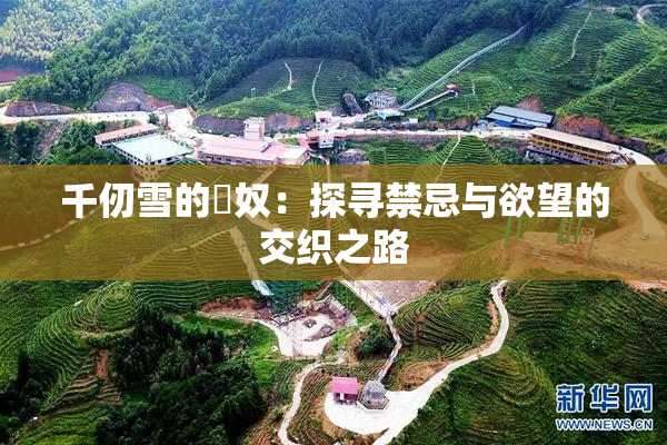 千仞雪的婬奴：探寻禁忌与欲望的交织之路