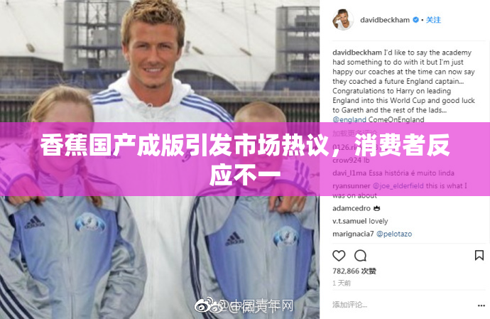 香蕉国产成版引发市场热议，消费者反应不一