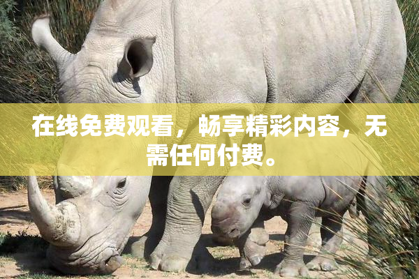 在线免费观看，畅享精彩内容，无需任何付费。