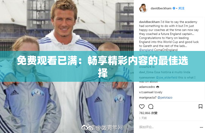免费观看已满：畅享精彩内容的最佳选择