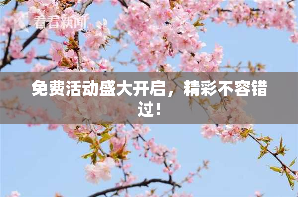 免费活动盛大开启，精彩不容错过！