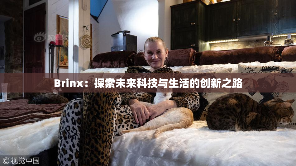 Brinx：探索未来科技与生活的创新之路