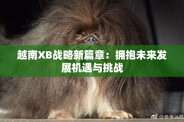 越南XB战略新篇章：拥抱未来发展机遇与挑战