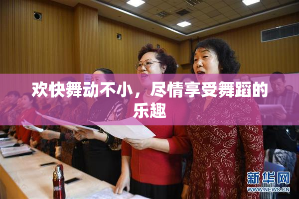 欢快舞动不小，尽情享受舞蹈的乐趣