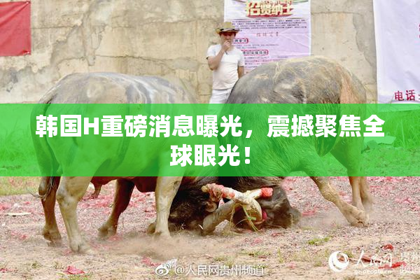 韩国H重磅消息曝光，震撼聚焦全球眼光！