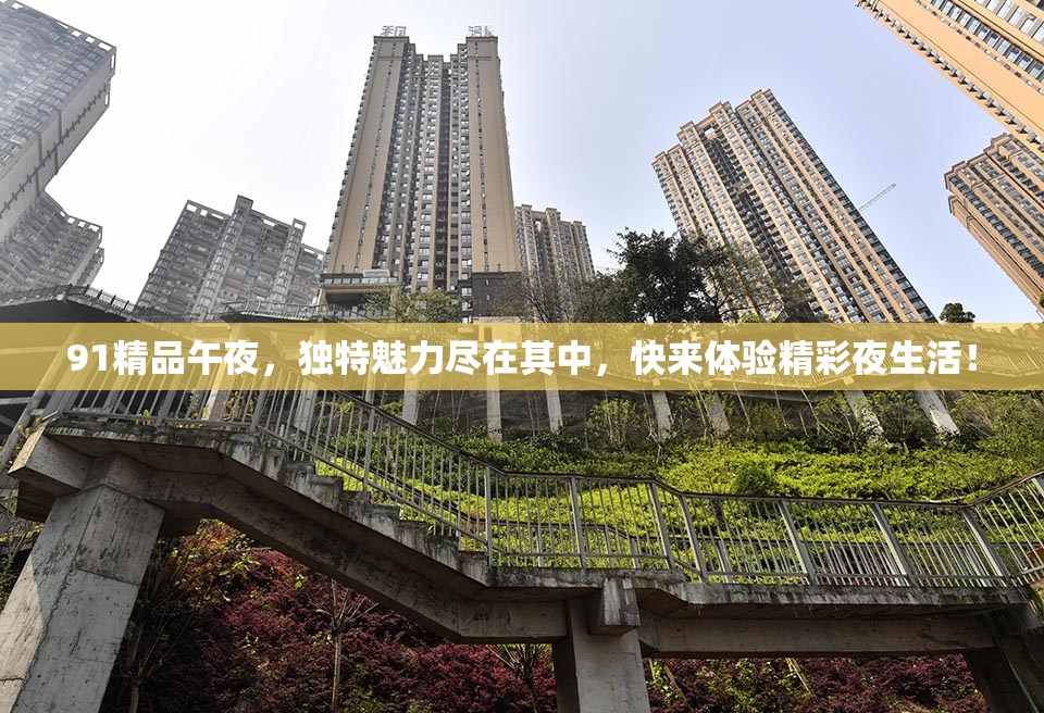 91精品午夜，独特魅力尽在其中，快来体验精彩夜生活！