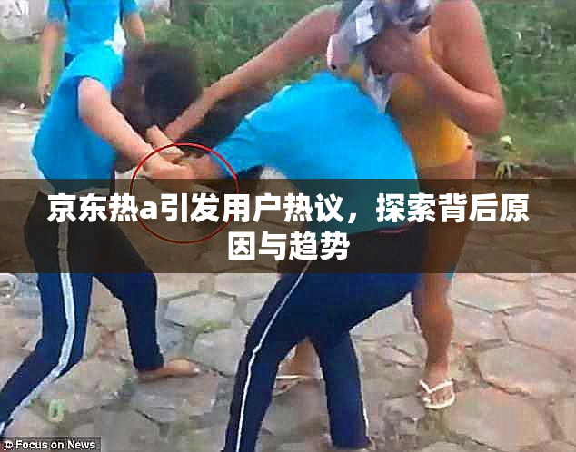 京东热a引发用户热议，探索背后原因与趋势
