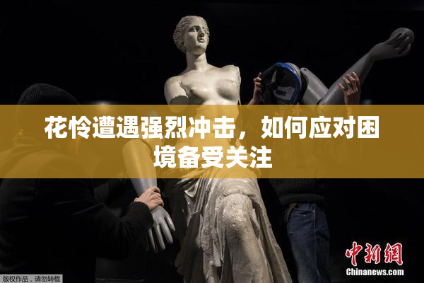 花怜遭遇强烈冲击，如何应对困境备受关注