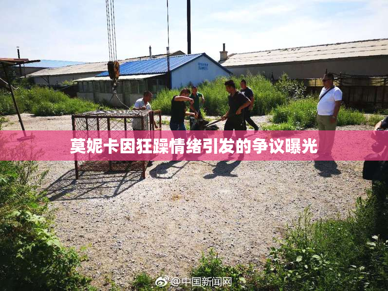 莫妮卡因狂躁情绪引发的争议曝光