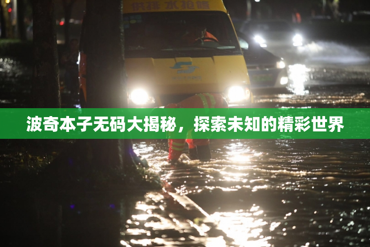 波奇本子无码大揭秘，探索未知的精彩世界