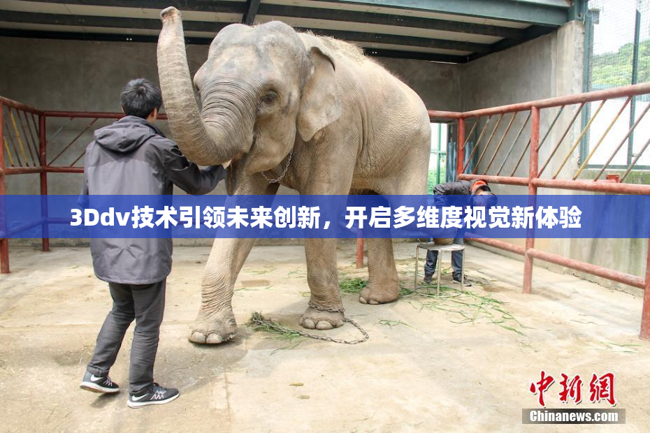 3Ddv技术引领未来创新，开启多维度视觉新体验
