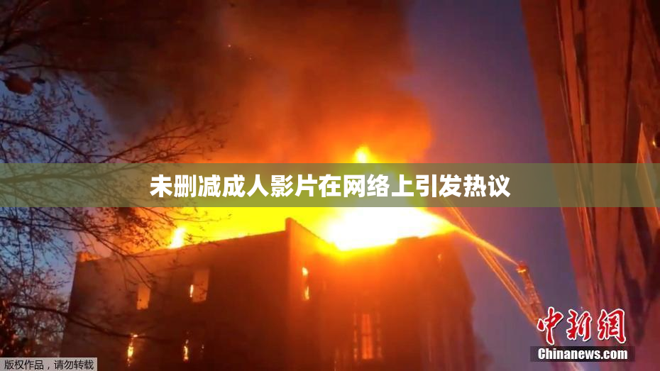 未删减成人影片在网络上引发热议