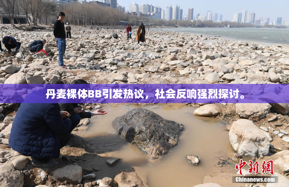 丹麦裸体BB引发热议，社会反响强烈探讨。