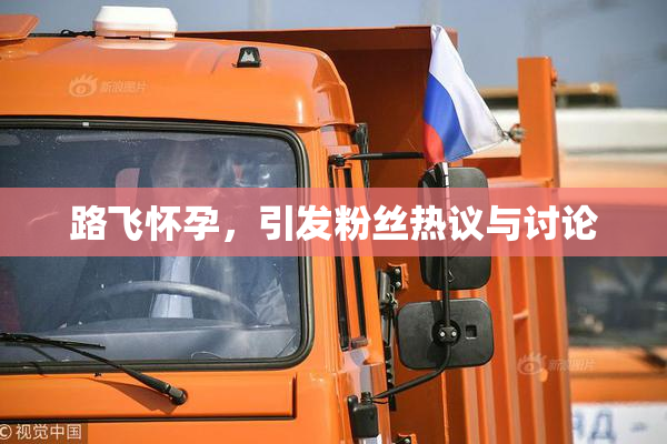 路飞怀孕，引发粉丝热议与讨论