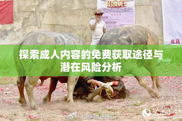 探索成人内容的免费获取途径与潜在风险分析