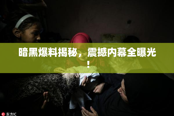 暗黑爆料揭秘，震撼内幕全曝光！