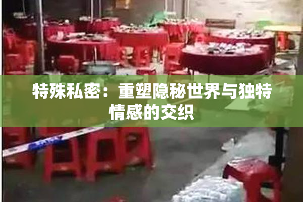 特殊私密：重塑隐秘世界与独特情感的交织