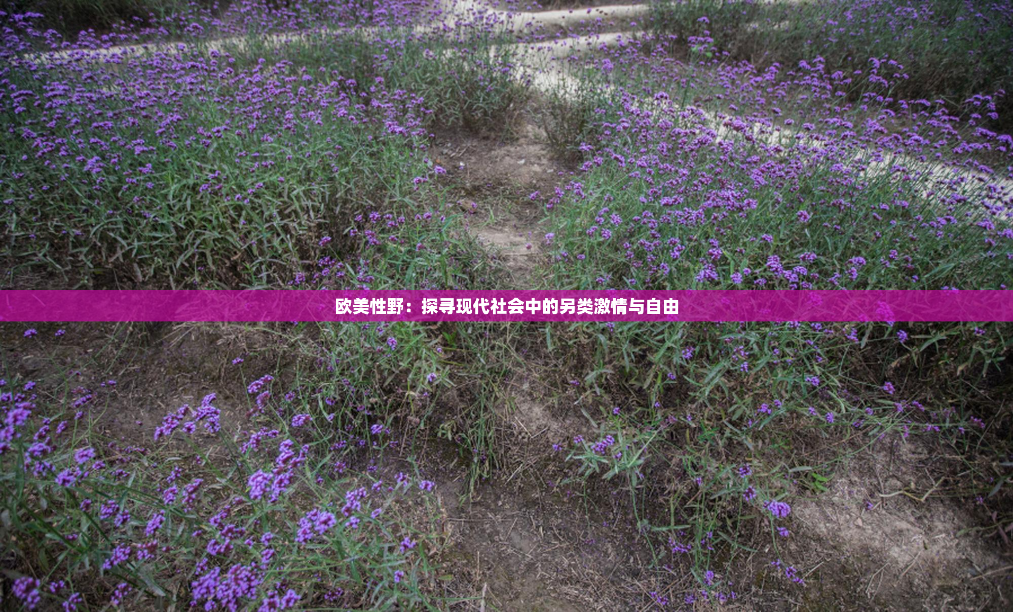 欧美性野：探寻现代社会中的另类激情与自由