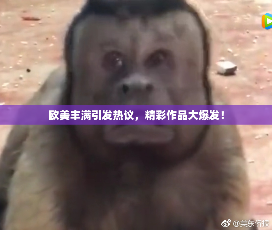 欧美丰满引发热议，精彩作品大爆发！