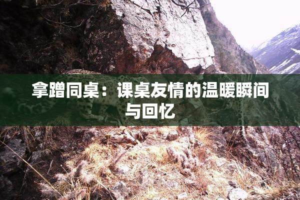 拿蹭同桌：课桌友情的温暖瞬间与回忆