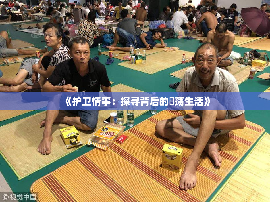 《护卫情事：探寻背后的婬荡生活》