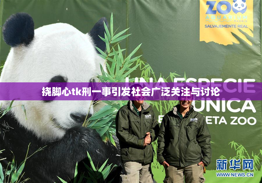 挠脚心tk刑一事引发社会广泛关注与讨论