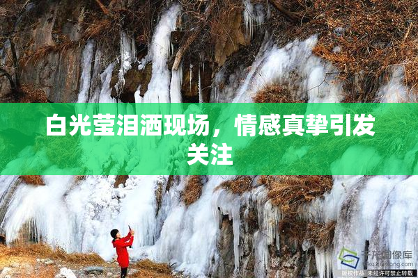 白光莹泪洒现场，情感真挚引发关注