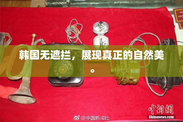 韩国无遮拦，展现真正的自然美。