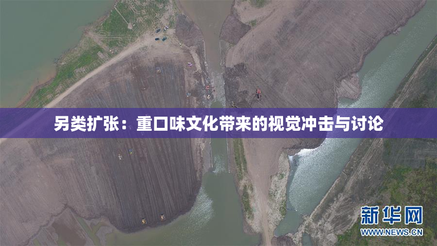 另类扩张：重口味文化带来的视觉冲击与讨论