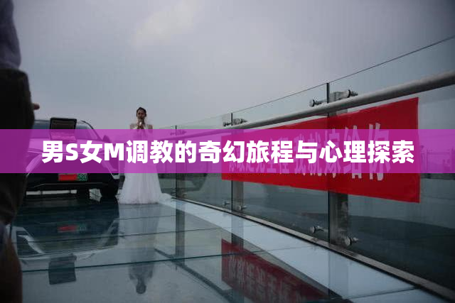 男S女M调教的奇幻旅程与心理探索