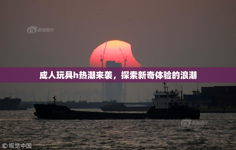成人玩具h热潮来袭，探索新奇体验的浪潮