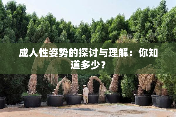 成人性姿势的探讨与理解：你知道多少？