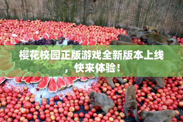 樱花校园正版游戏全新版本上线，快来体验！