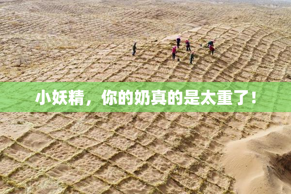 小妖精，你的奶真的是太重了！