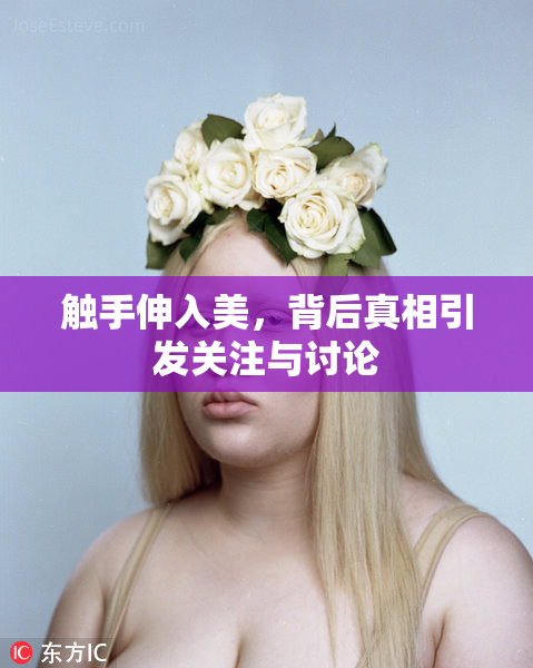 触手伸入美，背后真相引发关注与讨论