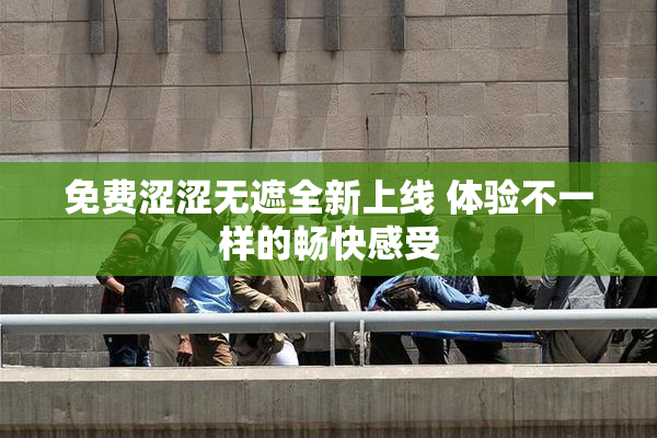 免费涩涩无遮全新上线 体验不一样的畅快感受