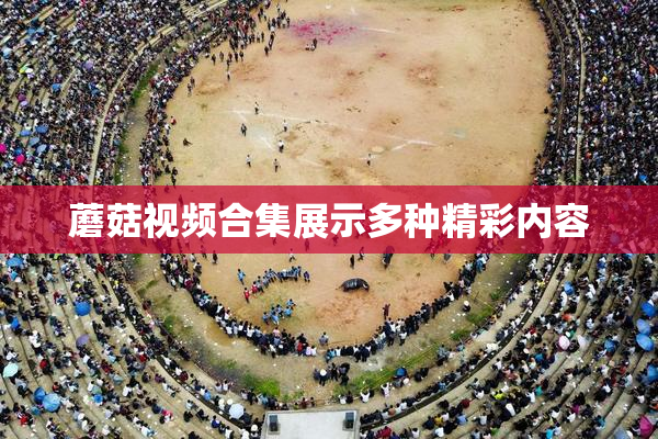 蘑菇视频合集展示多种精彩内容