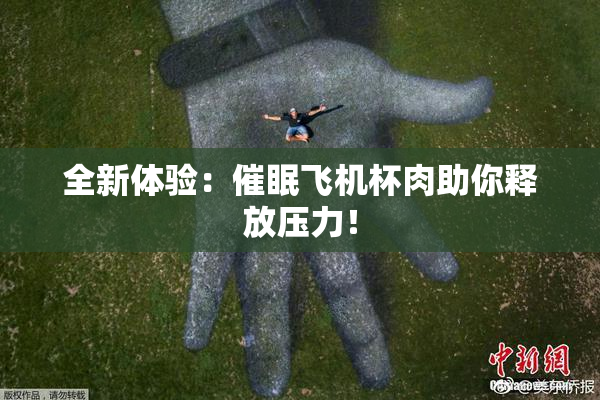 全新体验：催眠飞机杯肉助你释放压力！